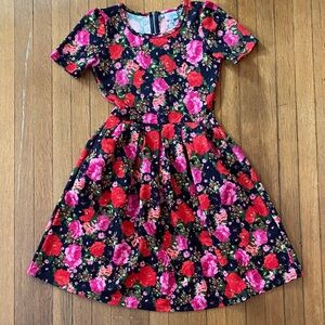 Lularoe Floral Amelia dress